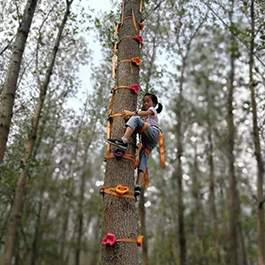 攀树运动 爬树装备